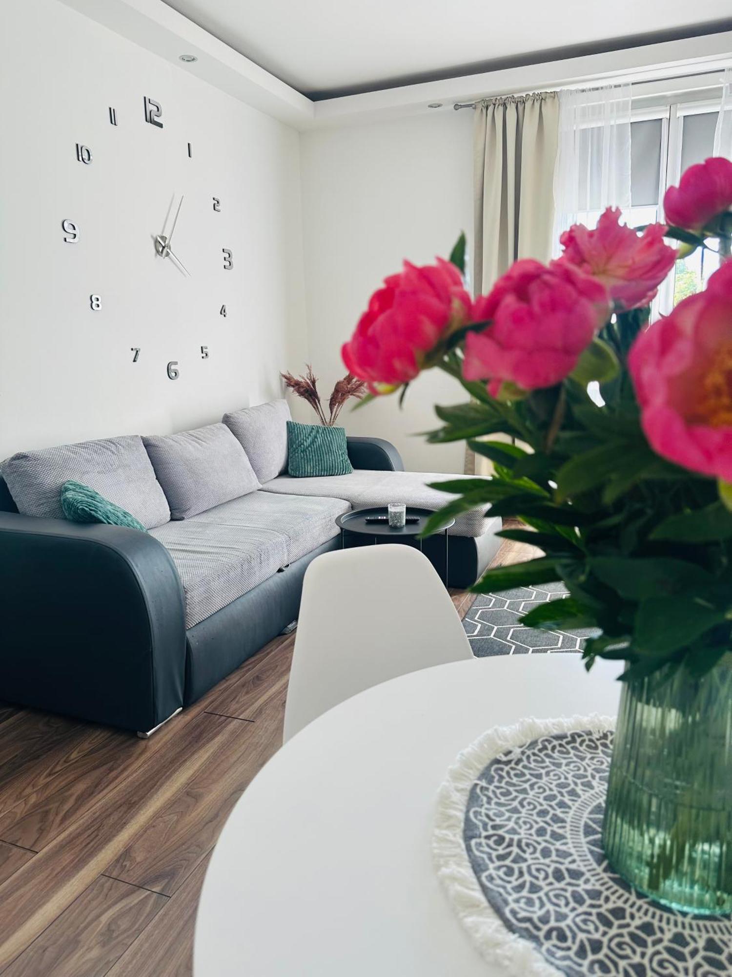 City Apartment Czestochowa Centrum 2-Bedroom 外观 照片